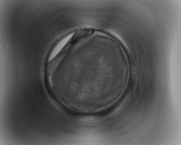 X0000089700677200707201741