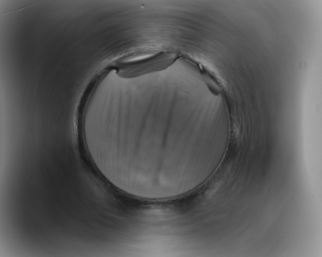 X0000089700678200707201741