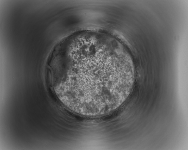 X0000089700679200707201741
