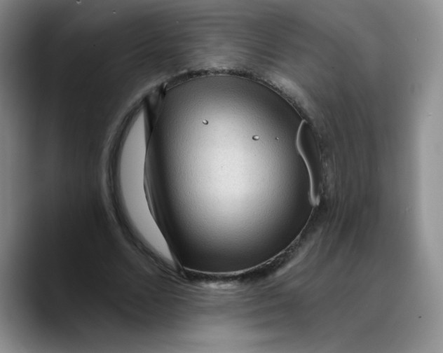 X0000089700680200707201741