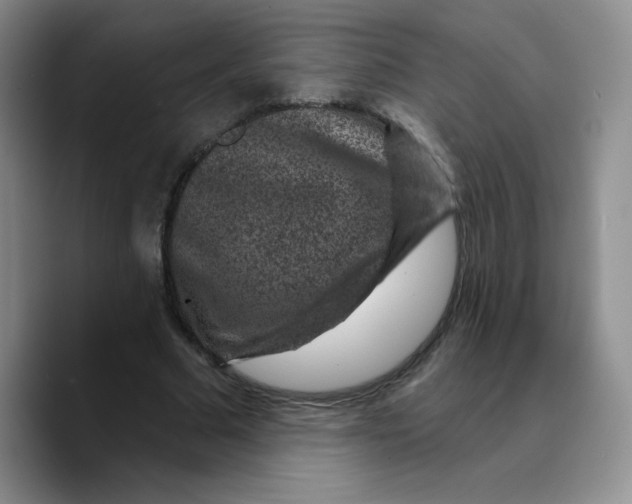 X0000089700681200707201741