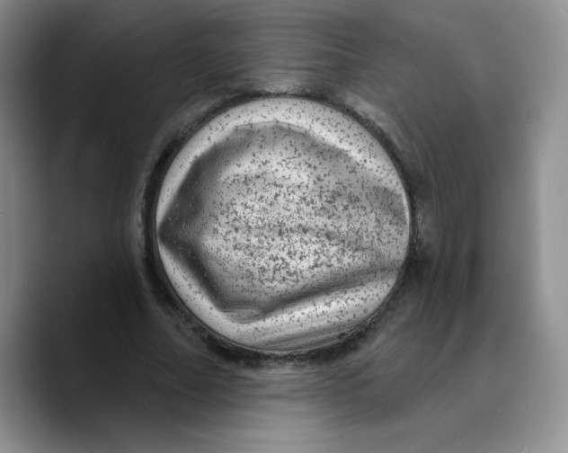 X0000089700682200707201741