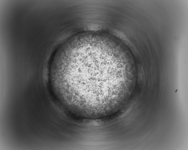 X0000089700683200707201741