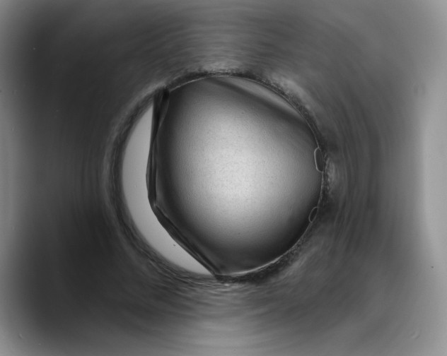 X0000089700684200707201741