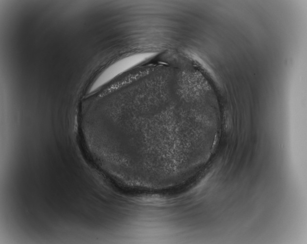 X0000089700685200707201741
