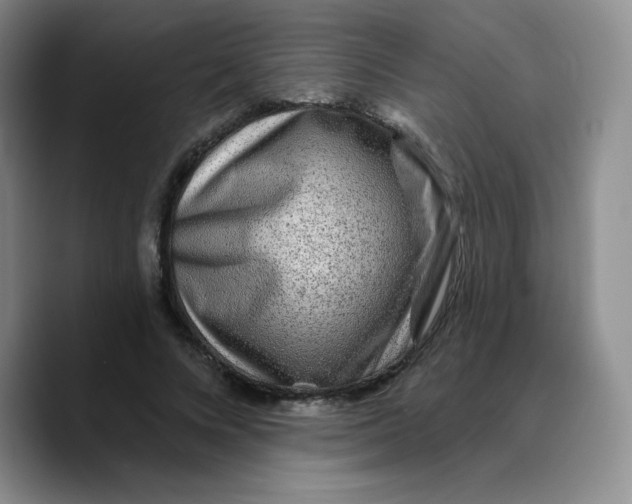X0000089700688200707201741
