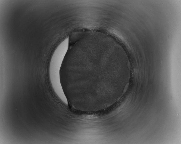 X0000089700689200707201741