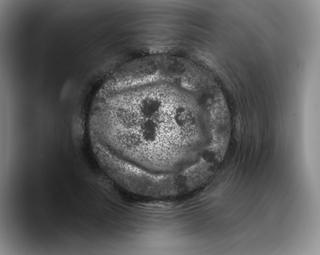 X0000089700691200707201741