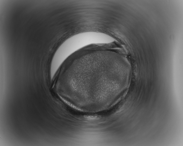 X0000089700693200707201741