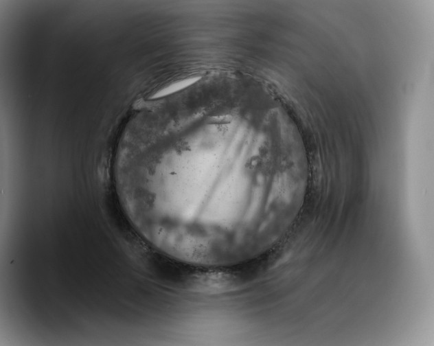 X0000089700695200707201741