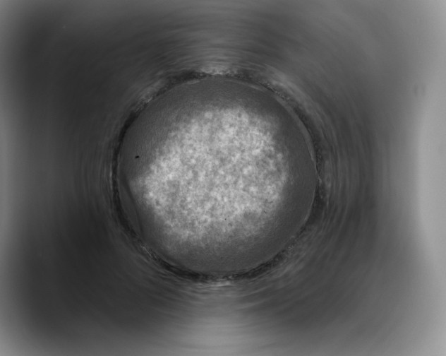 X0000089700696200707201740