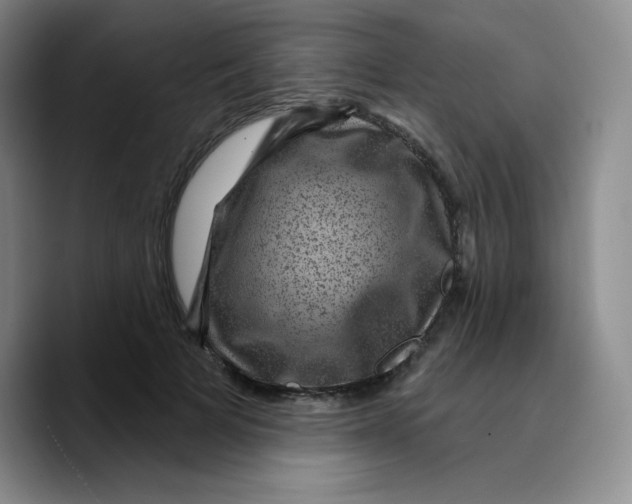 X0000089700697200707201740