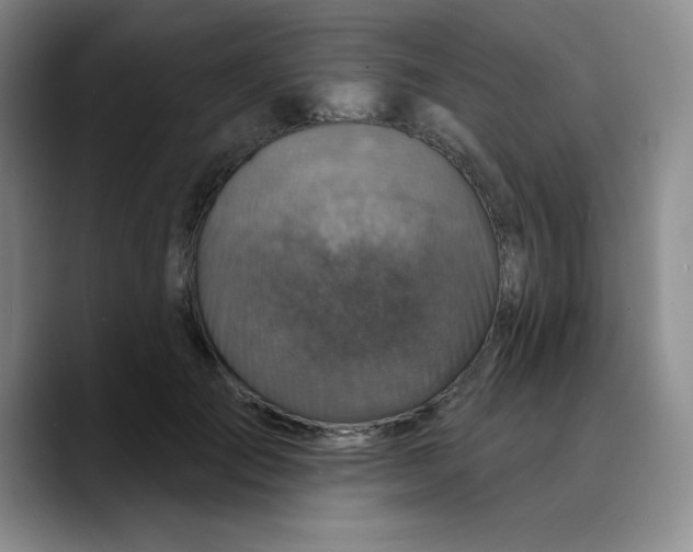 X0000089700701200707201740