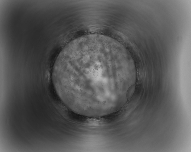 X0000089700703200707201740