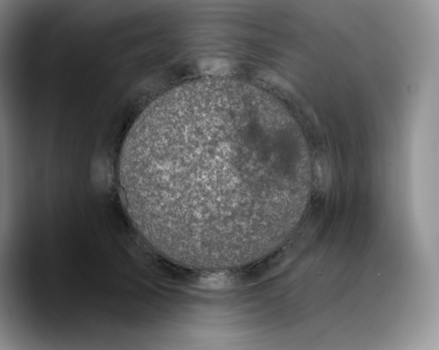 X0000089700705200707201740