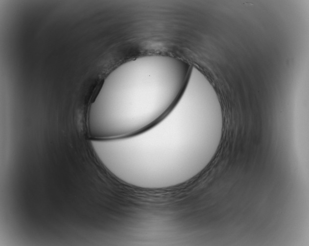 X0000089700708200707201740