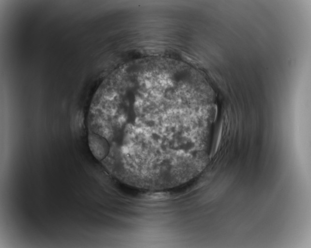 X0000089700711200707201740
