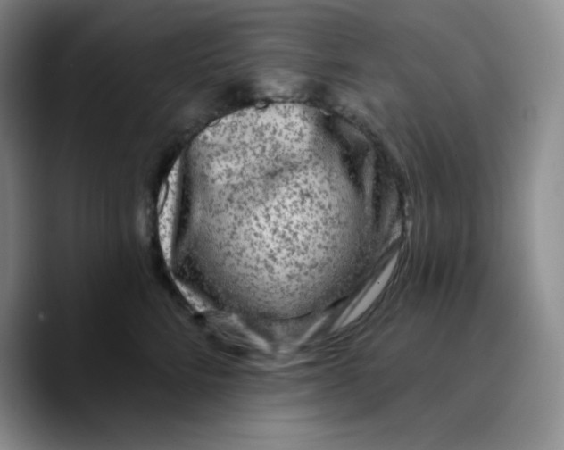 X0000089700712200707201740