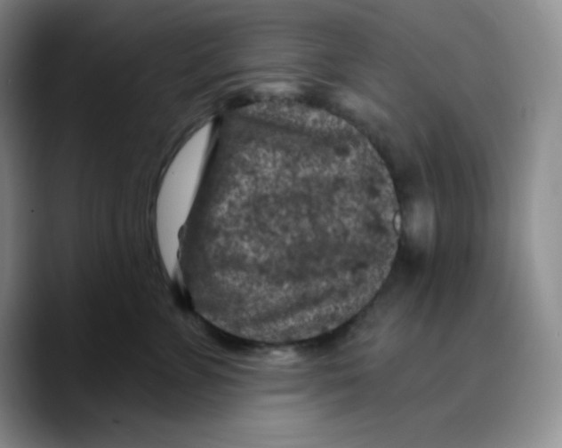 X0000089700715200707201740