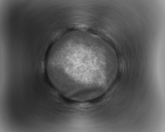 X0000089700716200707201740