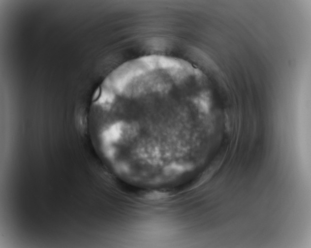 X0000089700718200707201740