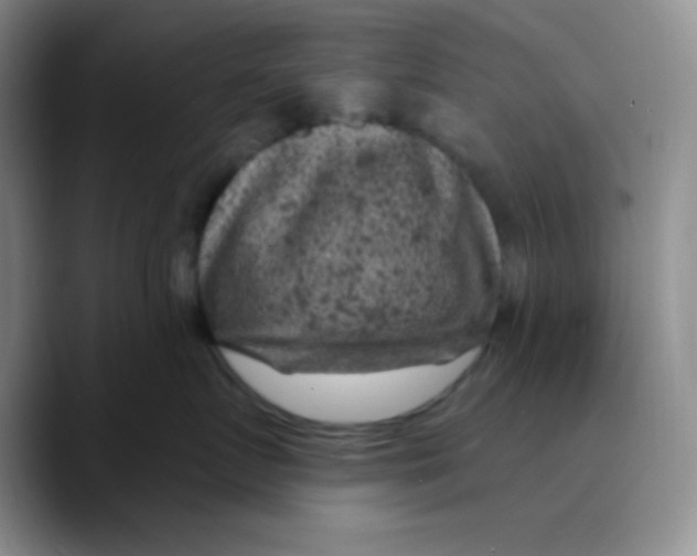 X0000089700719200707201740