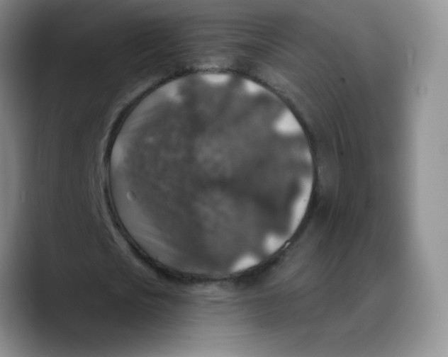 X0000089700721200707201740