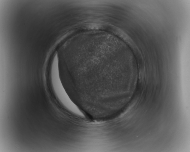 X0000089700722200707201740