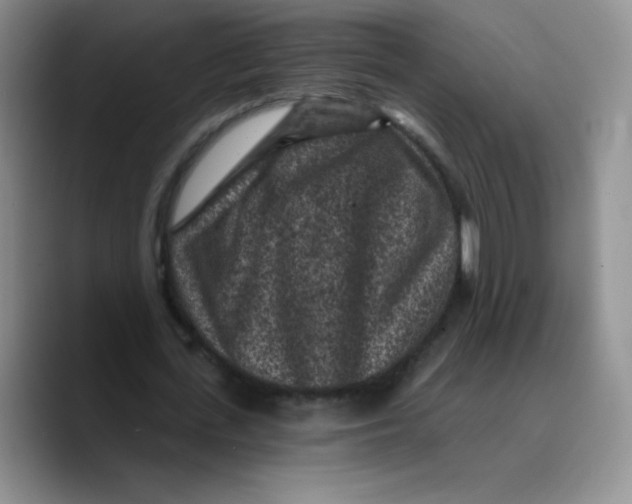 X0000089700723200707201740
