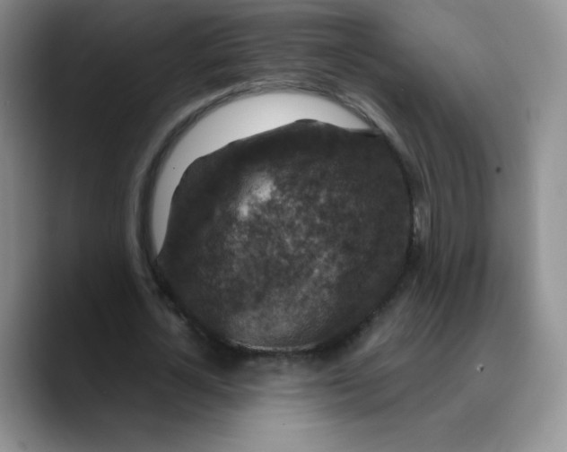 X0000089700724200707201740
