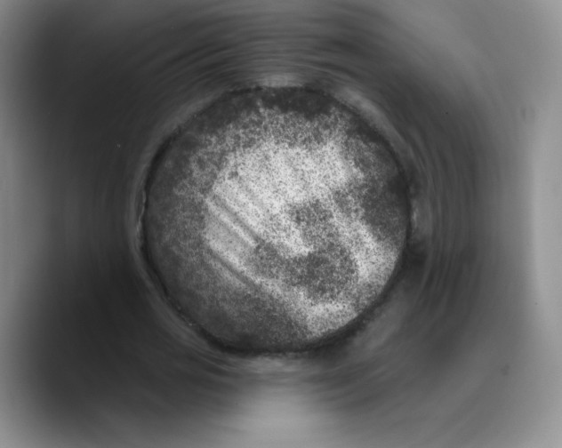 X0000089700725200707201740
