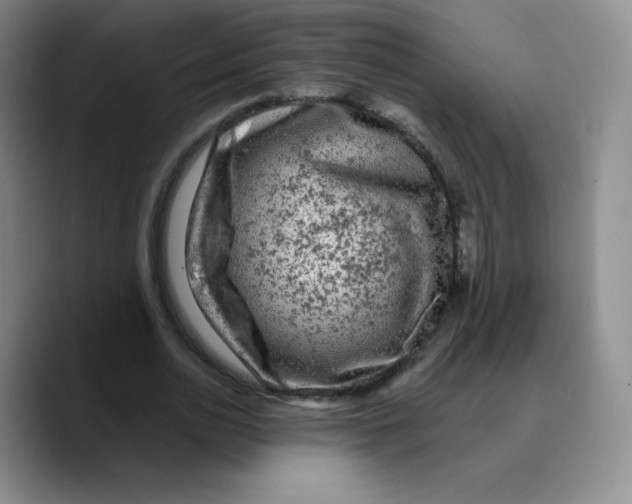 X0000089700726200707201740