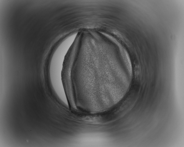 X0000089700727200707201740