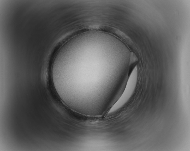 X0000089700728200707201740