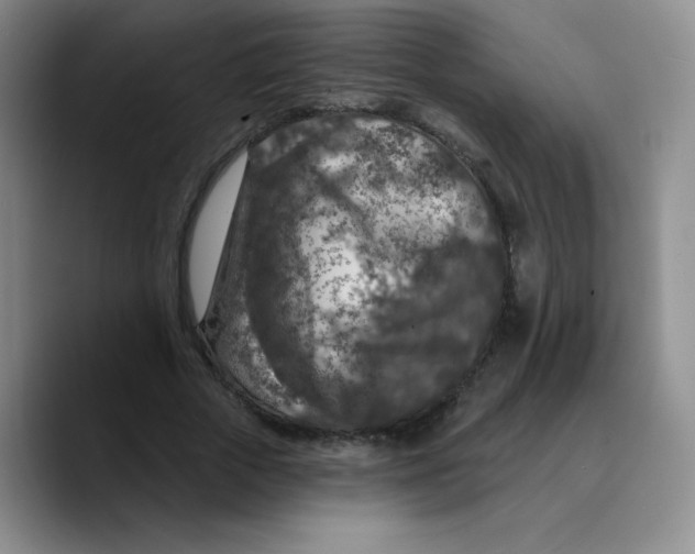 X0000089700729200707201740