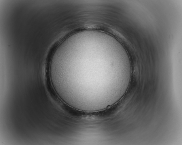 X0000089700730200707201740
