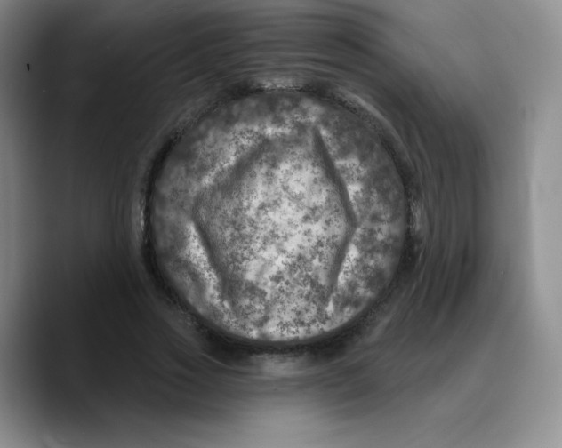 X0000089700733200707201740