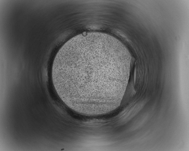 X0000089700734200707201740