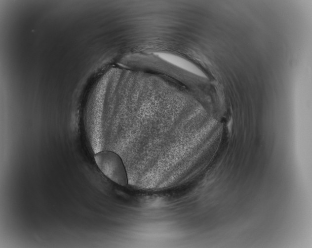 X0000089700735200707201740