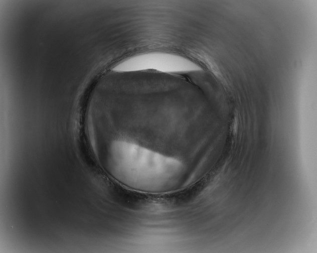 X0000089700736200707201740