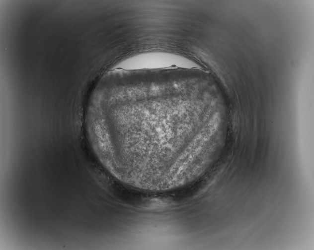 X0000089700737200707201740