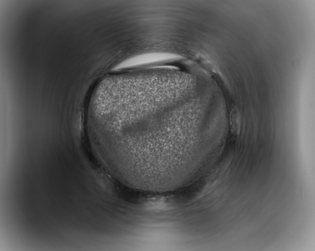 X0000089700740200707201740
