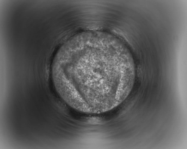 X0000089700741200707201740