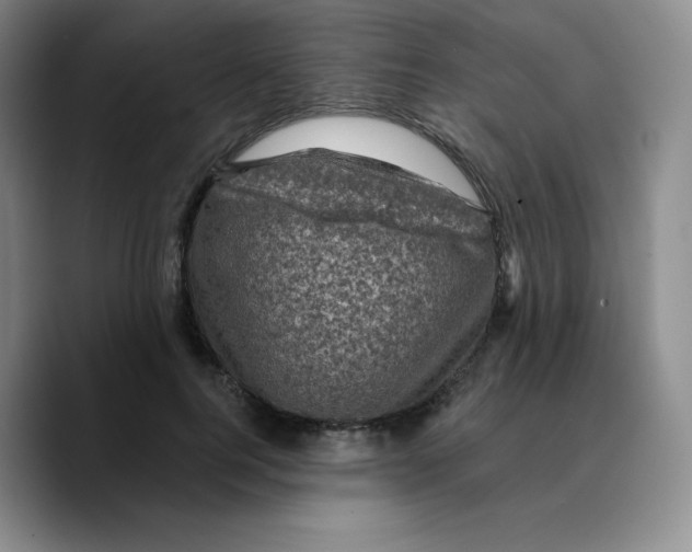 X0000089700744200707201740