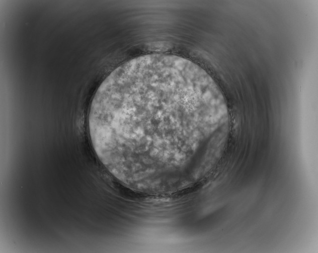 X0000089700745200707201740