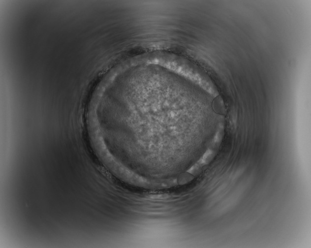 X0000089700746200707201740