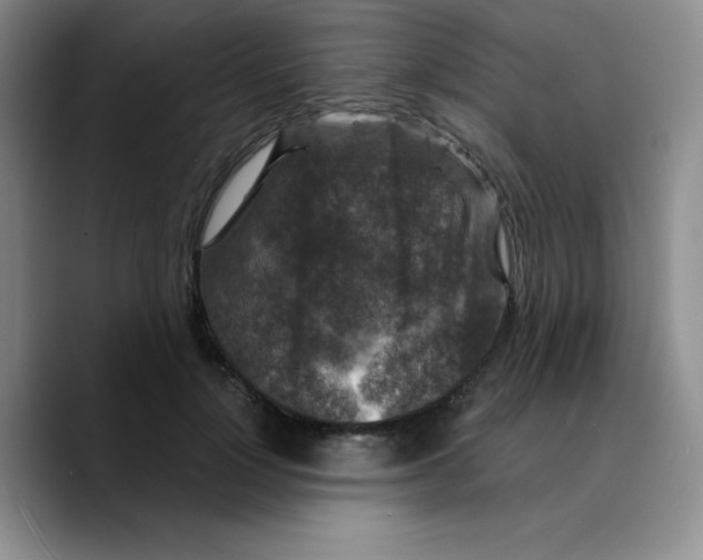 X0000089700748200707201740