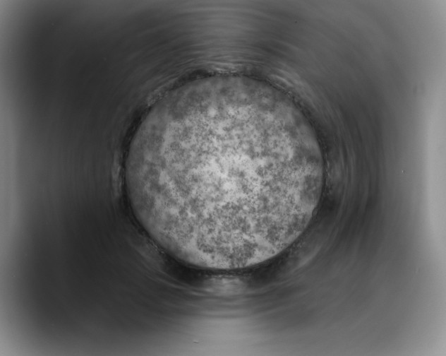 X0000089700749200707201740
