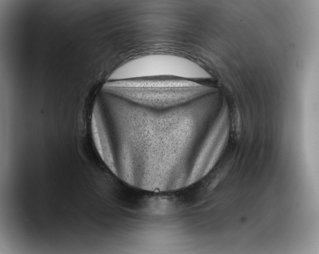 X0000089700751200707201740