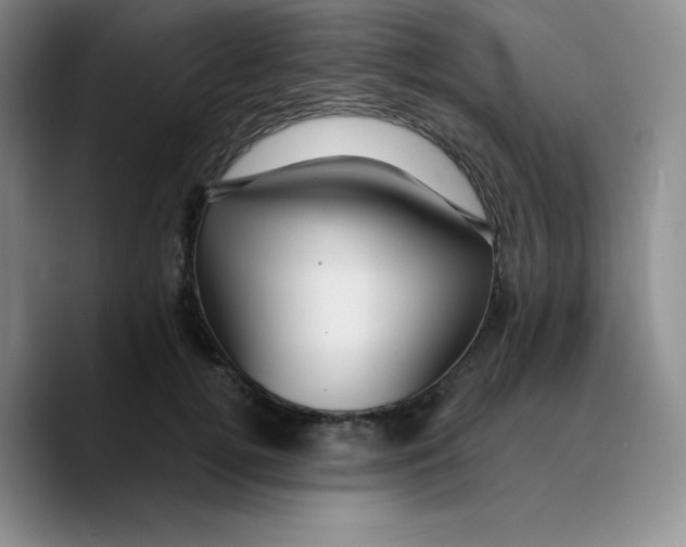 X0000089700752200707201740